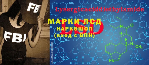 трава Аркадак