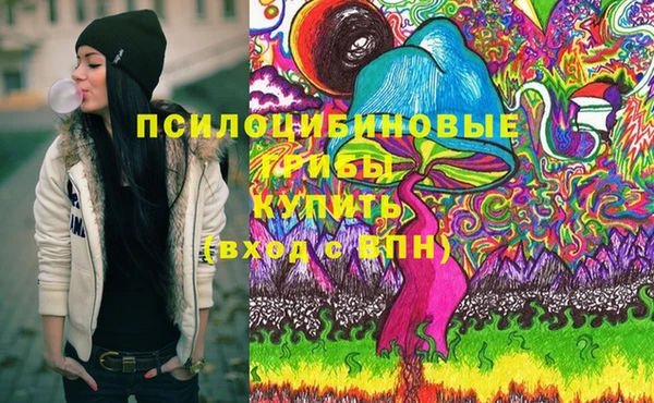 ECSTASY Балахна